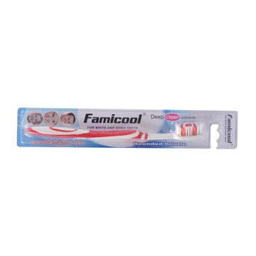 Famicool Toothbrush